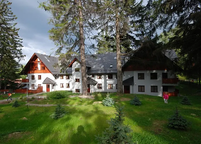 Bambusowy * كارباش